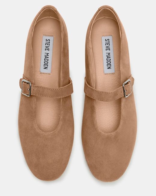 Steve Madden Brown Dreaming-s