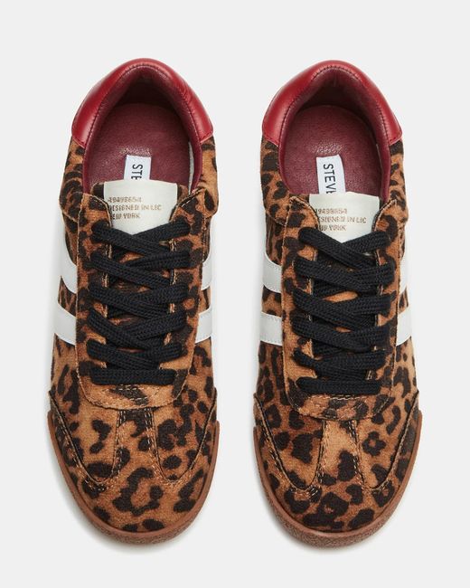 Steve Madden Brown Hudsin