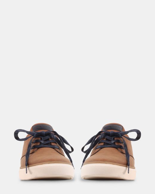 Steve Madden Brown Penta for men