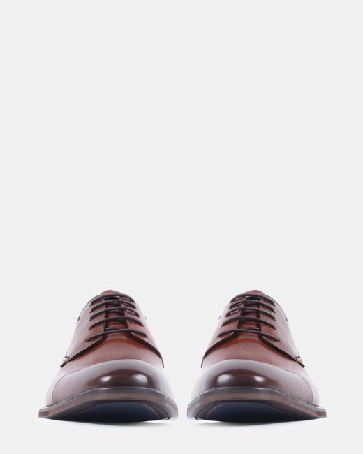Steve Madden Brown Vander for men