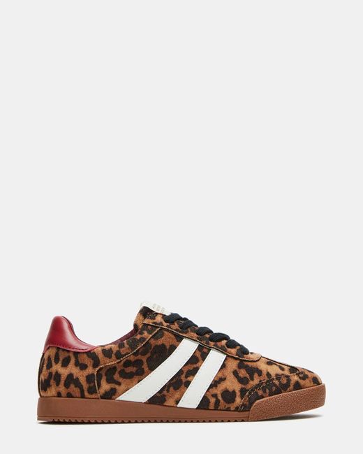 Steve Madden Brown Hudsin