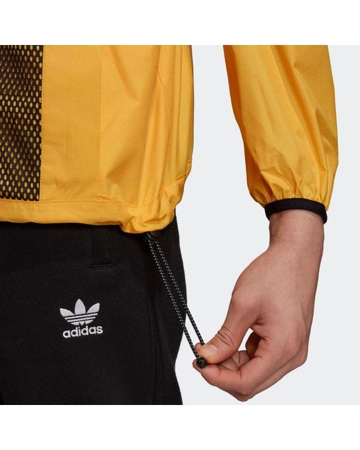 Adidas Originals Adidas Adv Arch Anorak in Yellow für Herren