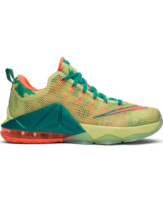 nike lebron 12 nsrl multicolor basketball shoes