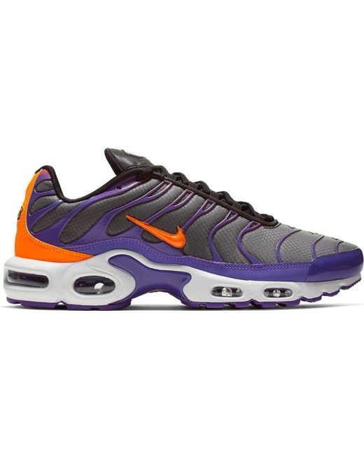 nike air max plus color flip