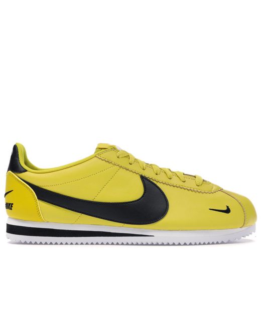 yellow and black cortez