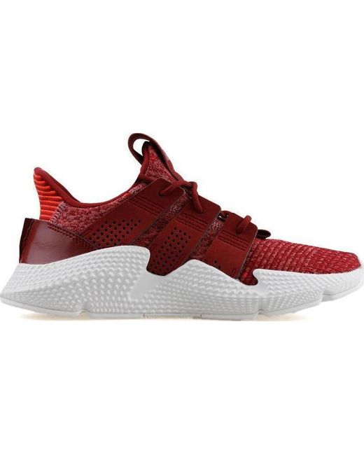 adidas prophere trace maroon