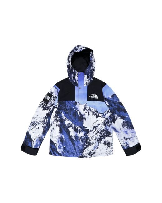 the north face mountain parka