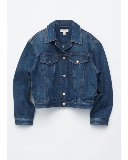 & Other Stories Blue Cropped Denim Jacket