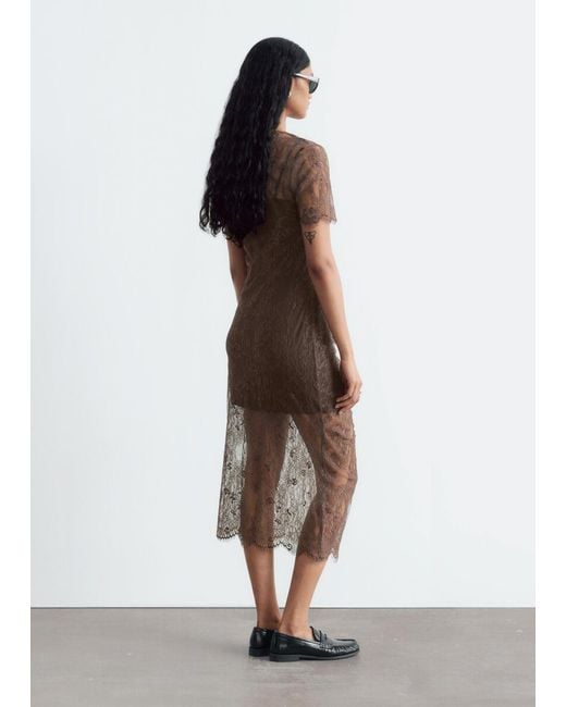 & Other Stories Brown Scalloped Lace Dress