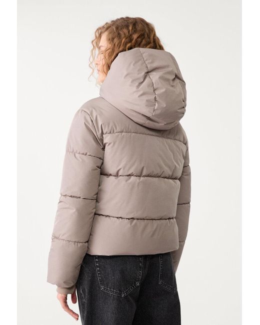Giubbotto Imbottito Basic Cappuccio di Stradivarius in Gray