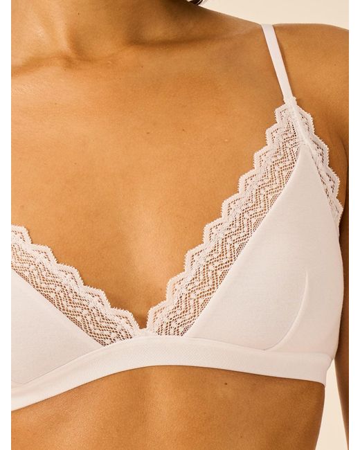 Stripe & Stare Brown Zig Zag Lace Triangle Bra