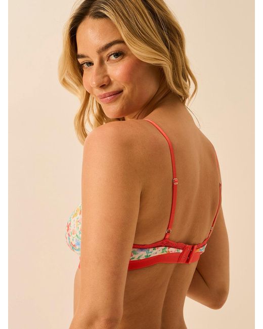 Stripe & Stare Multicolor Crossover Bra