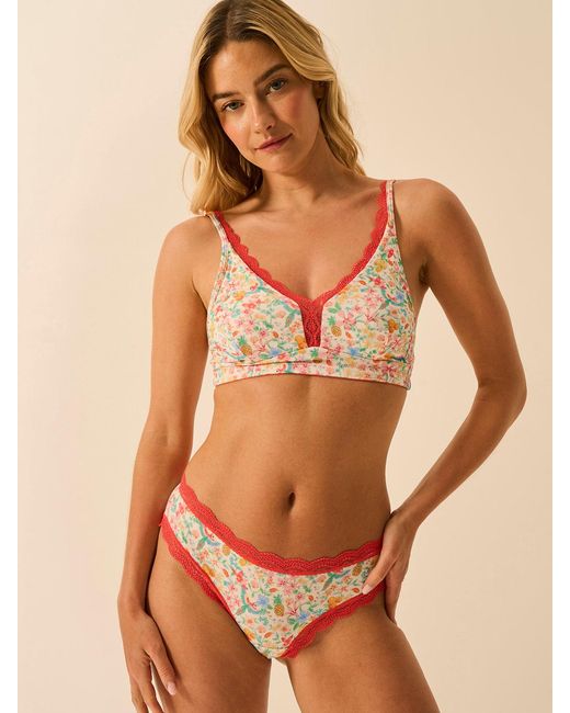 Stripe & Stare Orange Brazilian Knicker