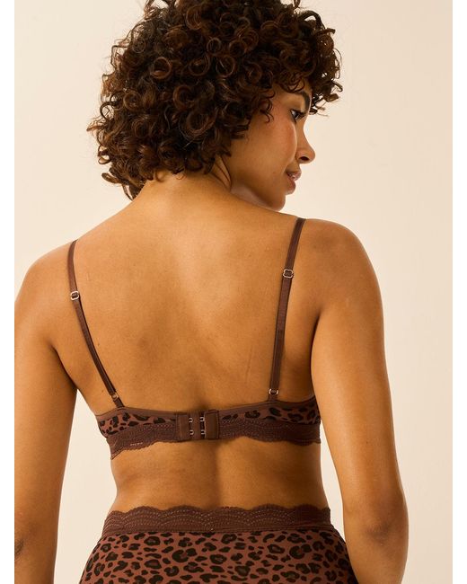 Stripe & Stare Brown Triangle Lace Mesh Bra