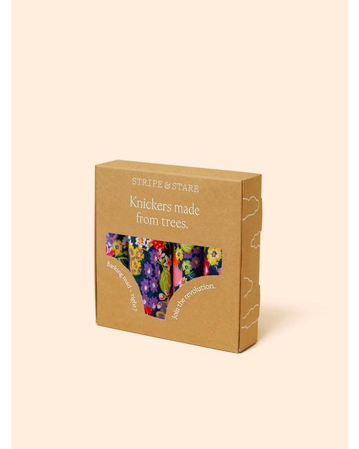 Stripe & Stare Pink The Original Knicker Four Pack