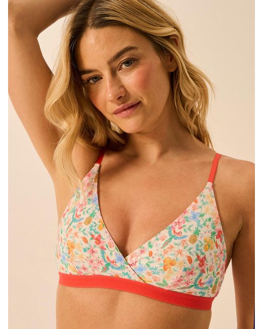 Stripe & Stare Multicolor Crossover Bra