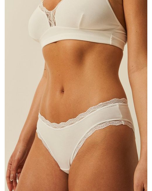 Stripe & Stare Brown White Lace Trim Knickers
