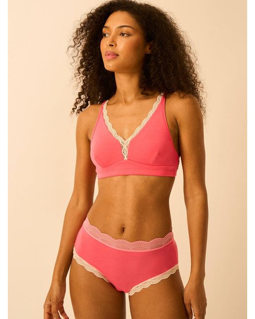 Stripe & Stare Pink High Rise Knicker