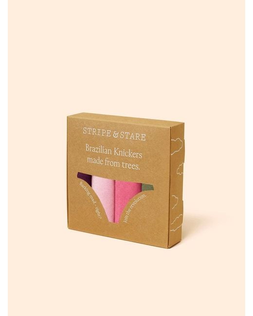 Stripe & Stare Purple Brazilian Knicker Four Pack
