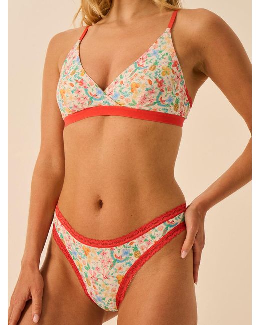 Stripe & Stare Multicolor Crossover Bra