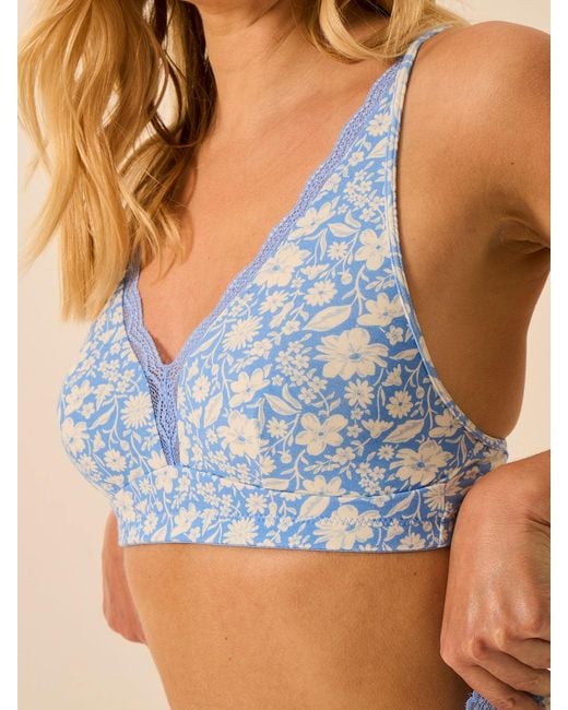 Stripe & Stare Blue Lace Plunge Bra
