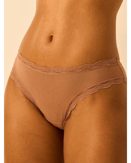 Stripe & Stare Brown The Original Knicker
