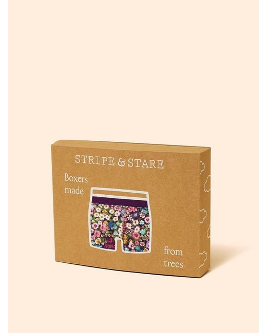 Stripe & Stare Red Boxer