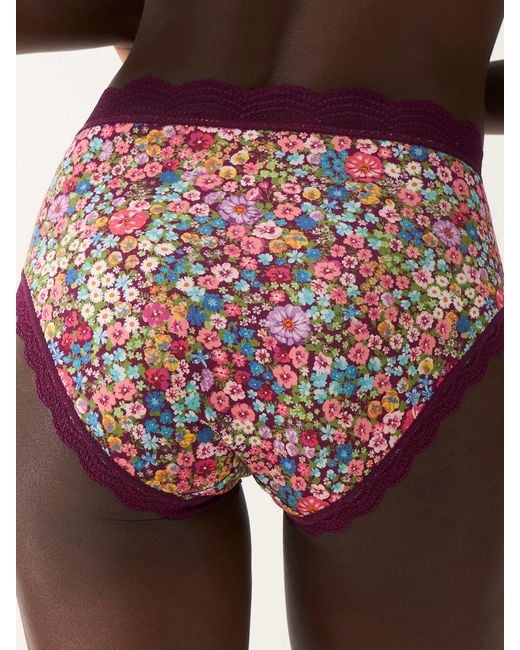 Stripe & Stare Multicolor High Rise Knicker Four Pack