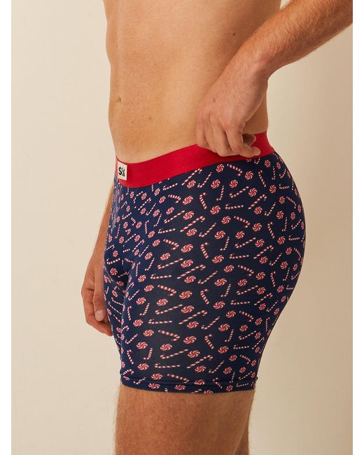Stripe & Stare Blue Boxer