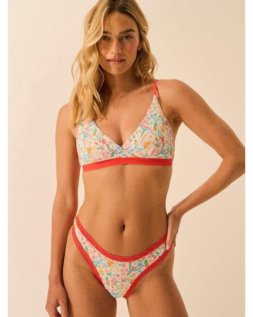 Stripe & Stare Multicolor Crossover Bra