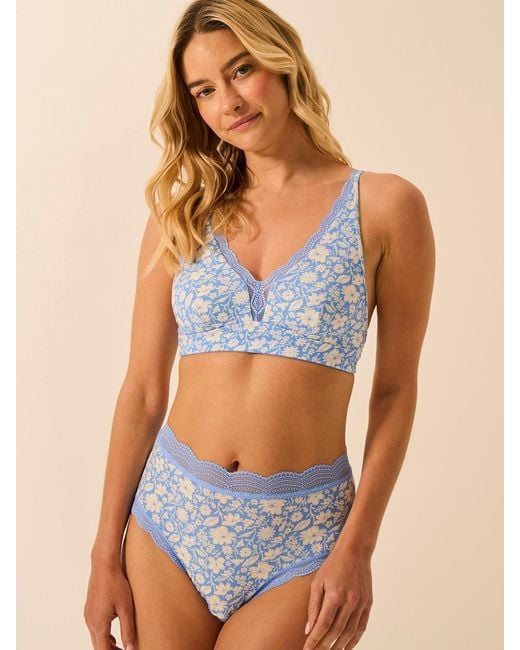 Stripe & Stare Blue Lace Plunge Bra