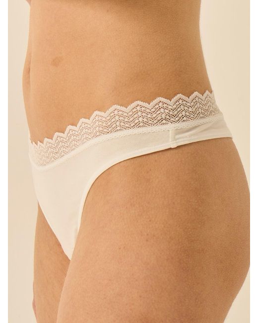 Stripe & Stare Brown Zigzag Lace Thong