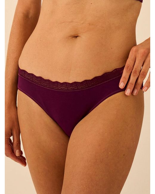 Stripe & Stare Purple Zigzag Lace Original Knicker