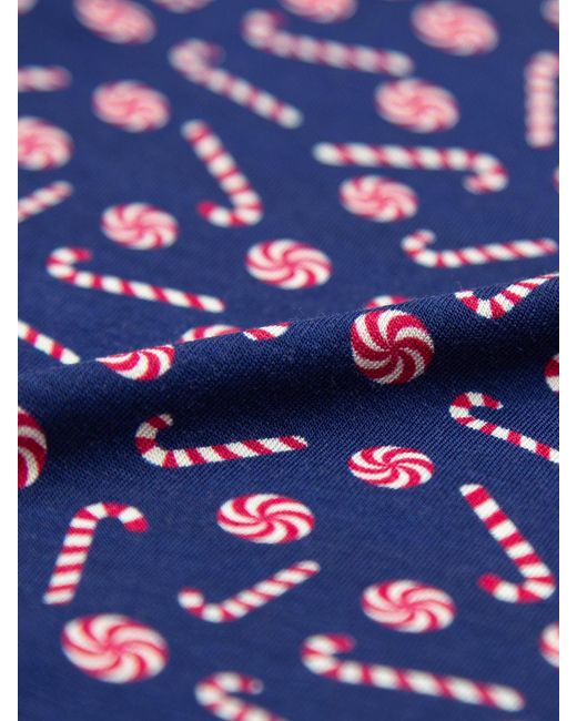 Stripe & Stare Blue Boxer