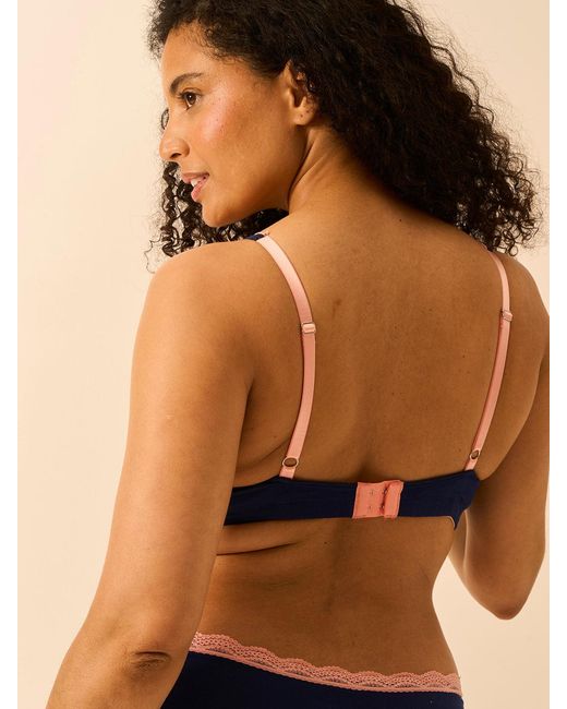 Stripe & Stare Blue Lace Plunge Bra