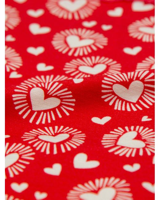 Stripe & Stare Red High Rise Knicker