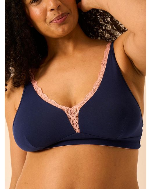 Stripe & Stare Blue Lace Plunge Bra