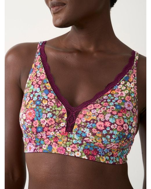 Stripe & Stare Red Lace Plunge Bra