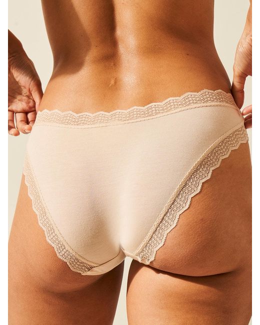 Stripe & Stare Brown Zigzag Lace Original Knicker