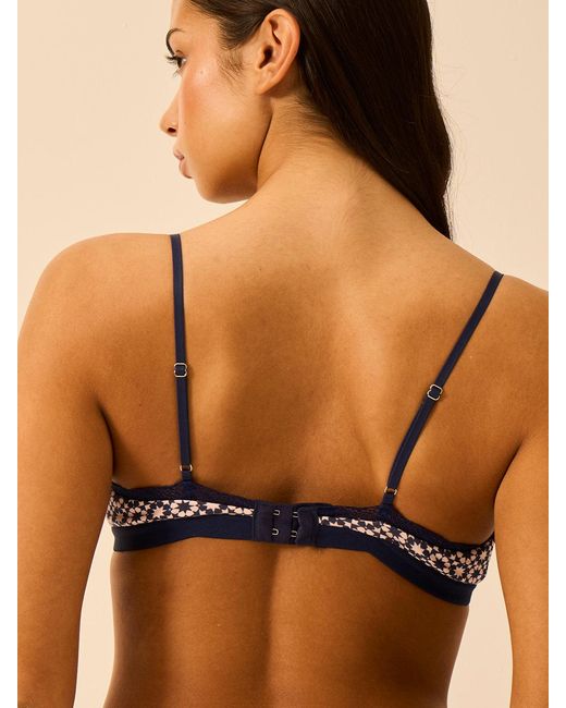 Stripe & Stare Brown Crossover Bra