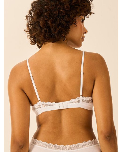 Stripe & Stare Brown Zig Zag Lace Triangle Bra