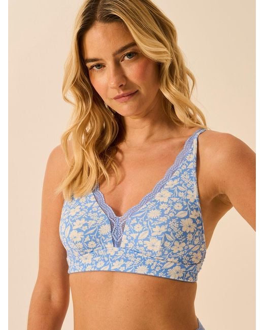 Stripe & Stare Blue Lace Plunge Bra