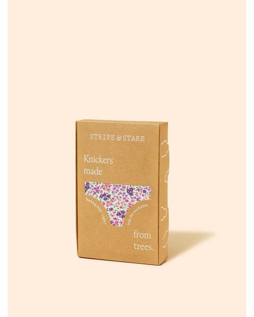 Stripe & Stare Pink The Original Knicker Four Pack
