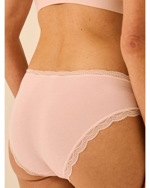 Stripe & Stare Brown Pink-a-boo Original Knicker Four Pack