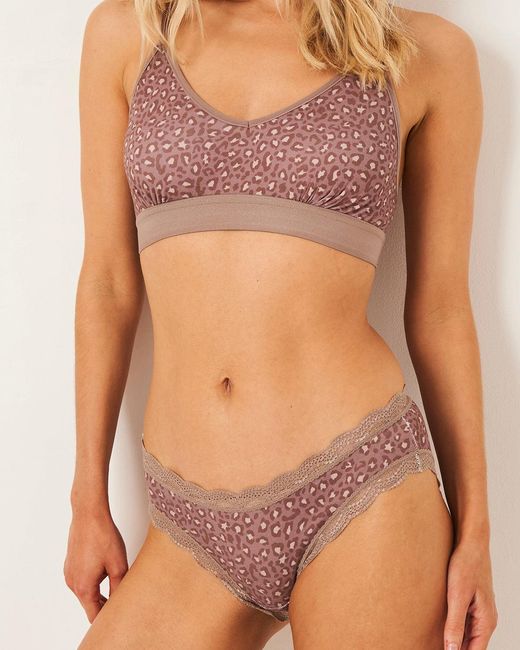 Stripe & Stare Multicolor The Original Knicker Four Pack