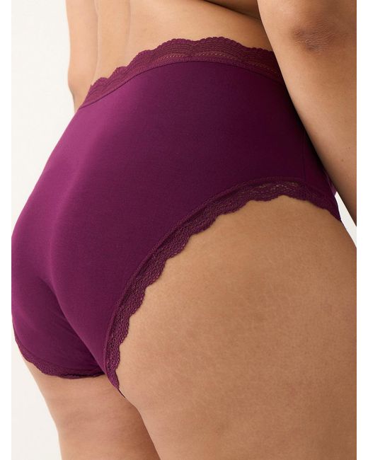 Stripe & Stare Purple High Rise Knicker