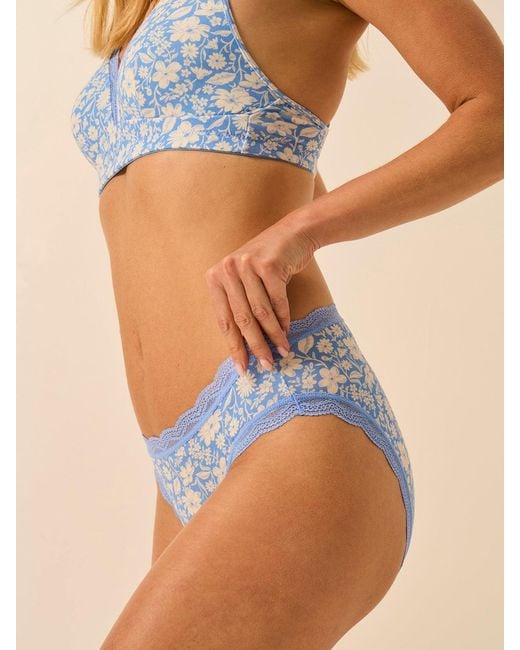 Stripe & Stare Blue The Original Knicker