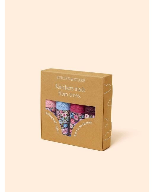 Stripe & Stare Multicolor High Rise Knicker Four Pack