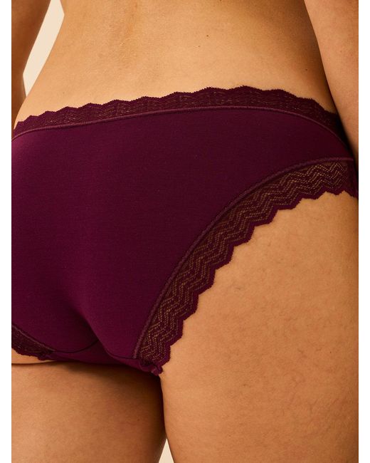 Stripe & Stare Purple Zigzag Lace Original Knicker
