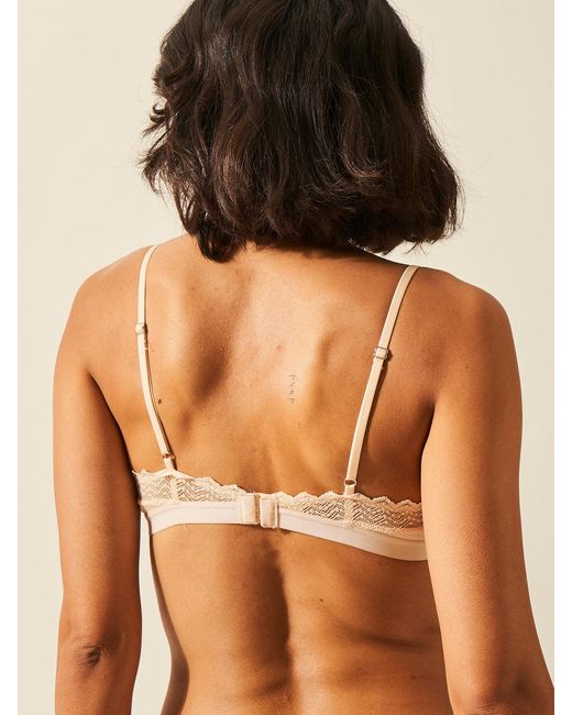Stripe & Stare Brown Zigzag Lace Triangle Bra